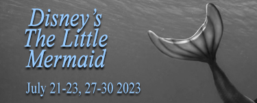 Disney's Little Mermaid